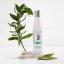 DSD de Luxe 003 detoxikační čistící šampo - Detox 200 ml